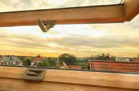 rated Norden roof window companies